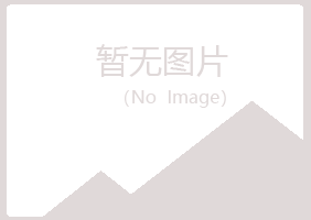 雁山区平庸能源有限公司